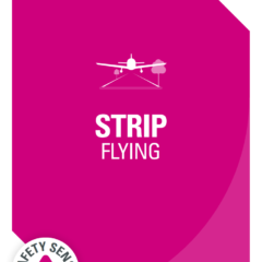 CAA publishes Strip Flying Safety Sense Leaflet